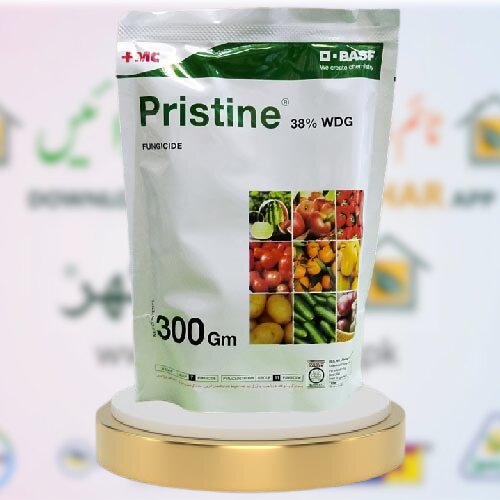 Pristine 38WDG Pyraclostrobin + Boscalid 300gm Fmc Best Fungicide