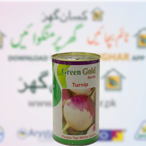 Turnip Purple Top White Globe 400gm Product Of  Usa  Agriculture Distributor Green Gold Neela Shaljam Beej Shuljam