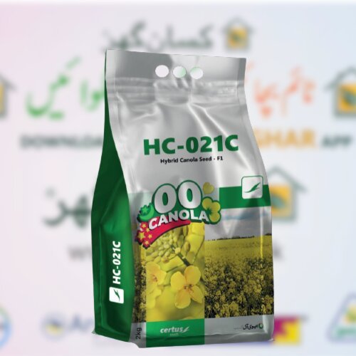 Hybrid Canola Seed F1 Hc 021c 1kg ( part of 2kg bag ) Certus Seed Kanzo Combagro Evyol Group  سرٹس سیڈز کا ہائبرڈ کینولا 