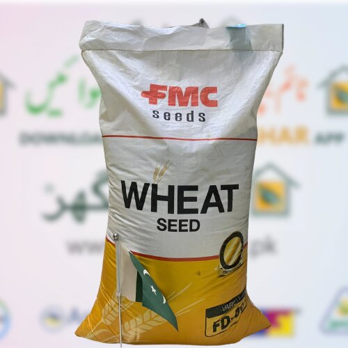 2nd Fsd 08 Fmc Wheat Seed 50kg Fmc Faisalabad 2008 گندم کا بیج