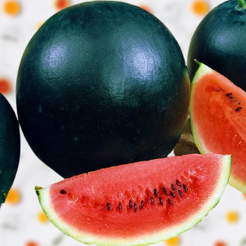2nd Watermelon Black Chairman 50g Seeds F1 Hybrid Imported Tarbooz Beej  گول تربوز کے بیج Water Melon