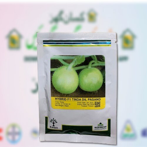 Tinda Dil Pasand 50GM Hybrid F1 Kalash Millan Agro Seed Best Tinda for pakistani markete