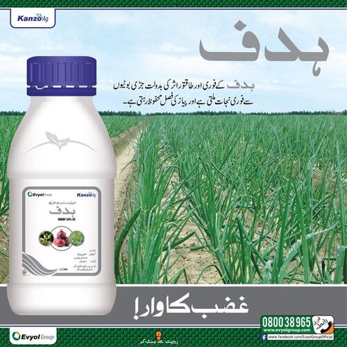 2nd Hadaf 400ML Oxyflurofen 24EC Kanzo Evyol Group Combagro Onion / Garlic Weed Control Weedicide / Herbicide Lehsan لہسن کی فصل