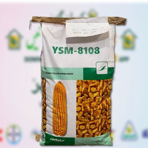 YSM 8108 10kg Hybrid Corn Seed Best for Maximum Silage Certus Seeds Evyol Group Combagro Agpharma Kanzo ہائبرڈ بہاریہ مکئی