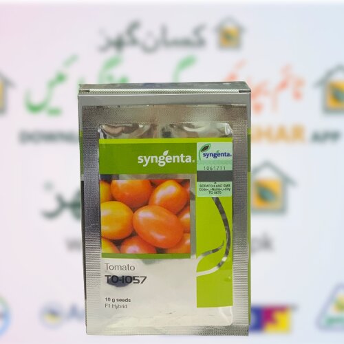 2nd 1057 Tomato Hybrid F1 Seed 10gm Syngenta Pakistan Limited Treated With Thiram And Carbendazim ٹماٹر کے بیج