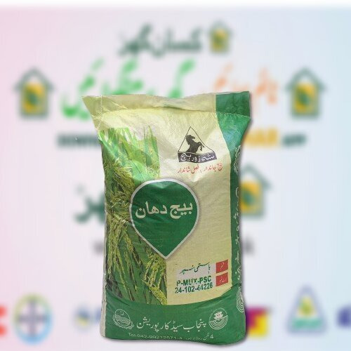 Super Bashmati Rice Seed 20kg Paddy Seed Punjab Seed corporation Pakistani