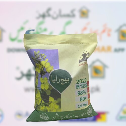 Super Raya Seed 5kg Punjab Seed Corporation Shazor Ka Beej Mustard Seed Sarsoon Raya Oil Crop