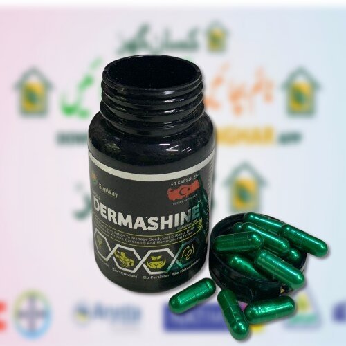 Dermashine 60 Capsules In 1 Bottle Recipe of Turkey Derma shine Capsules Trichoderma Spp is Advance formulation to mange seed, soil and roots born diseases Sunway Agro Chemicals