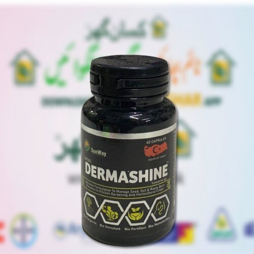 2nd Dermashine 60 Capsules In 1 Bottle Recipe of Turkey Derma shine Capsules Trichoderma Spp is Advance formulation to mange seed, soil and roots born diseases Sunway Agro Chemicals