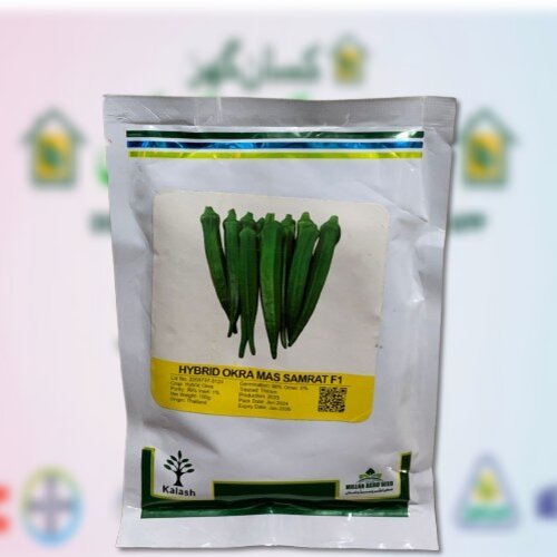 Hybrid Okra MAS SAMRAT F1 100GM Kalash Seeds Millan Agro Seed Origion Thailand Bhindi Seed Bindi ka beej