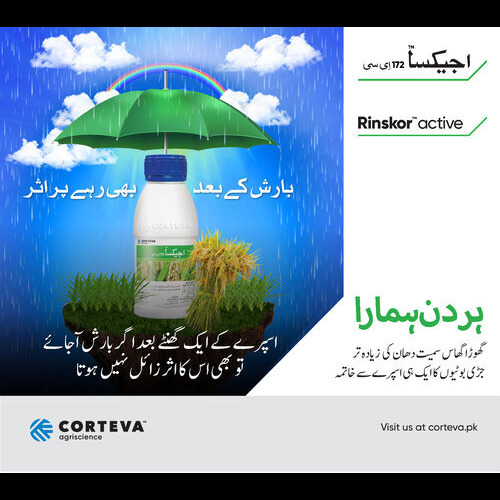 2nd Agixa 172EC 200ML Rinskor active + Cyhalofop-butyl Post Emergence Herbicide Corteva Pakistan