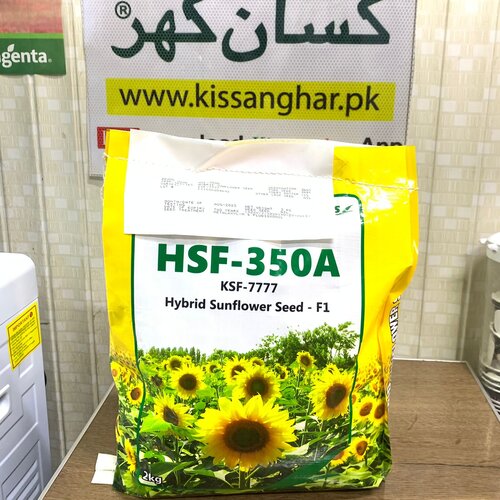 2nd Sunflower Seed 2kg Hybrid Sunflower Seed F1 Evyol Group Combagro Certus Seed KSF 7777