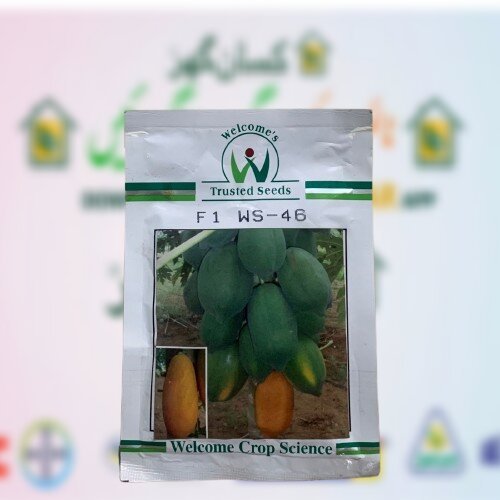 Welcomes Trusted Seeds for F1 WS-46 hybrid papaya 500 Seeds, produced by Welcome Crop Science Botanical name Carica Papaya 