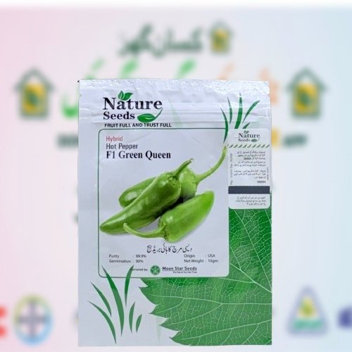 Chilli Seed 10GM Moonstar Hybrid Hot Pepper Green Queen Nature F1 Chilli Seed