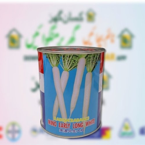 2nd Takki Seed Radish Seed 400gm Takki & Co. Ltd Japan Origin Italy Mds Muli Moli Mooli Mino early long white 