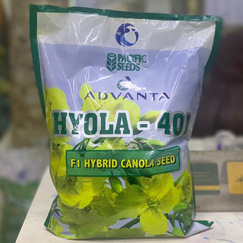 Hyola - 401 ( F1 Hybrid Canola Seed ) Ici Hiola 2023