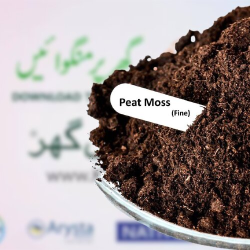 Peat Moss (peltracom Brand) 1kg Premium Quality ( A Part Of 250litr Bag )