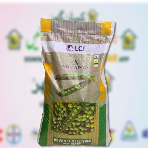 Peas Advanta Selection Ici Pakistan 15kg Vegetable Hybrid Seed Matar Beej Pea Seed LCI Pencil Mator