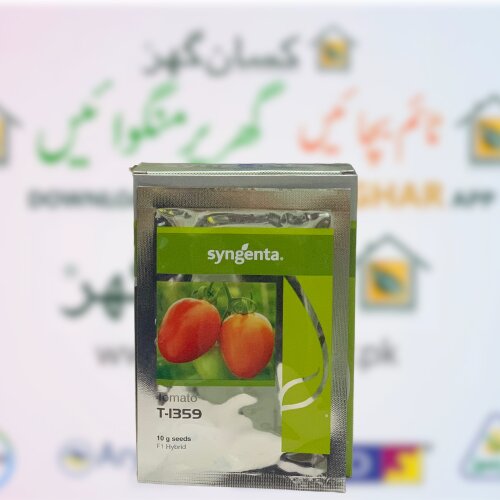 1359 Tomato Hybrid F1 Seed 10gm Syngenta Pakistan Limited Treated With Thiram And Carbendazim ٹماٹر کے بیج
