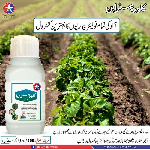 SporoKill 56SC 500ML Azoxystrobin + Chlorothalonil Fungicide ICS Imperial Crop Tara Crop Group ( Chlorostrobin fungicide ) Sporokil fungicide Special for Onion Crop