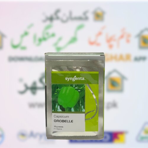 Orobelle Capsicum Hybrid F1 Seed 10gm Treated With Thiram And Carbendazim Syngenta Pakistan Limited Shimla Mirch Ka Beej شملہ مرچ کے بیج Bell Pepper