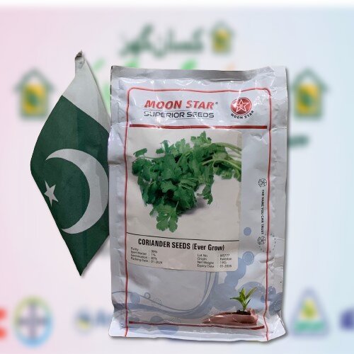 Coriander Seed 1kg Moon Star Seeds Danya Ka Seed Chinese Parsley Dhania ...