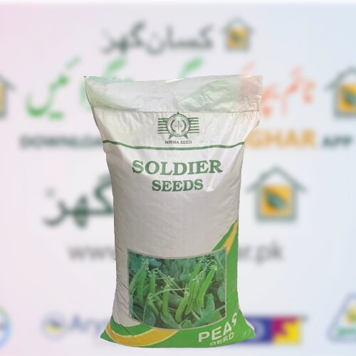 Peas Classic Pak 20kg Distributor Soldier Seeds Corporation Matar Beej Pea Seed ( Pencil Type ) مٹر کے بیج کلاسک