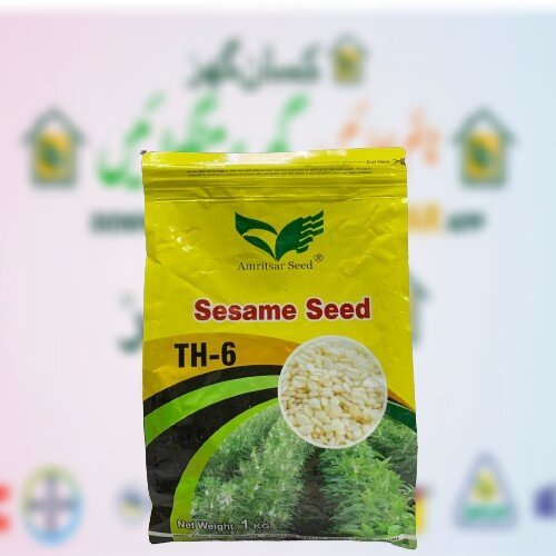 Sesame Seed Th 6 1kg Tilli Beej تل کا بیج Amritsar Seeds 