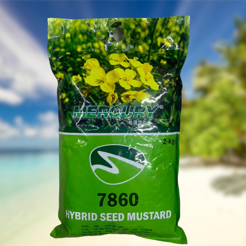 7860 Mustard Seed 2kg Sarsoon Beej  ( F1 Hybrid Seed Toria ) Rai Seed Mercury Seed Pvt Ltd