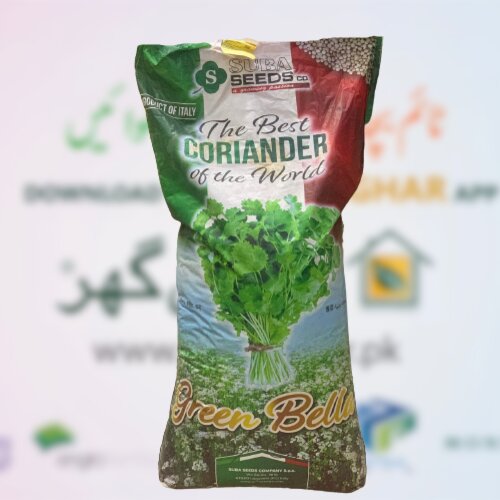 Coriander Seed 1kg ( Part Of 25kg Imported Pack ) Green Gold Danya Ka Seed  Chinese Parsley Dhania Seed Dhaniya Seed Green Bella Suba Seeds