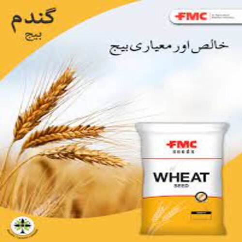 2nd Akbar 19 Fmc Wheat Seed 50kg Fmc Akbar 19
