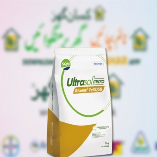 Ultrasol micro Rexene FeXQ58 1kg is a stable, water-soluble and non-dusting iron source chelated by HBED and EDDHA Iron Deficiency Swat Agro Chemicals SQM