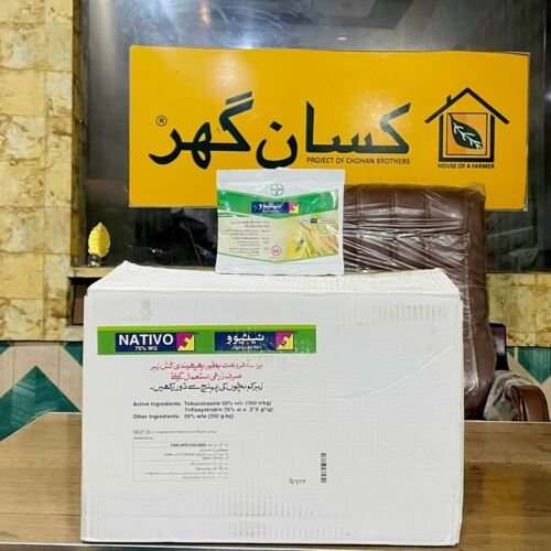 Fipronil 80 W/w ( Regent ) 30gm 100 PC in One Carton Bayer Crop Science ( Best Termite - Demak Control ) Borer Control