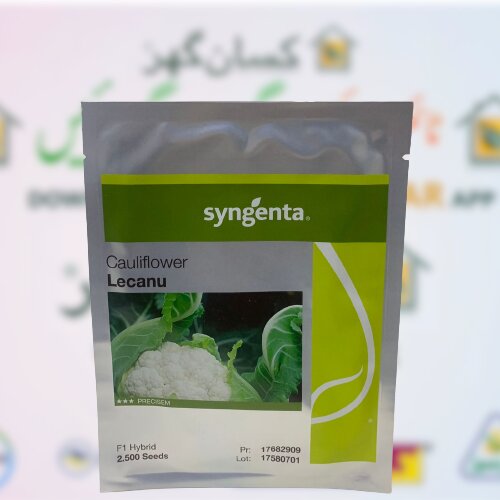 2nd Lecanu 2500 Seeds F1 Hybrid Cauliflower Treated With Fludioxonil 2.5ks Syngenta Pakistan Limited Gobi Ka Beej