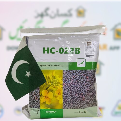 2nd Hybrid Canola Seed 1kg ( part of 2kg bag ) F1 Hc 022b Certus Seed Kanzo Combagro Evyol Group