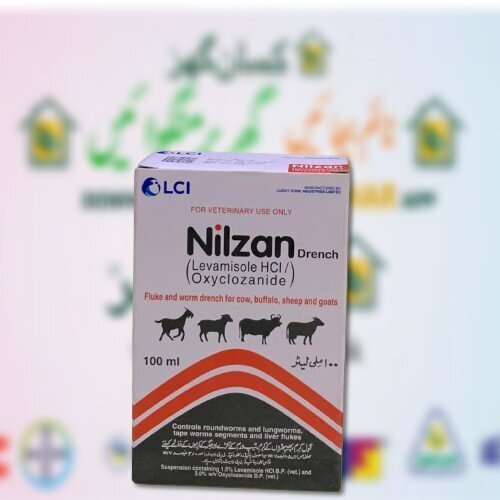 Nilzan Drench 100ML Levamisole HCI Oxyclozanide for veterniary use only ICI LCI fluke and worm drench for cow, buffalo, sheep and goats