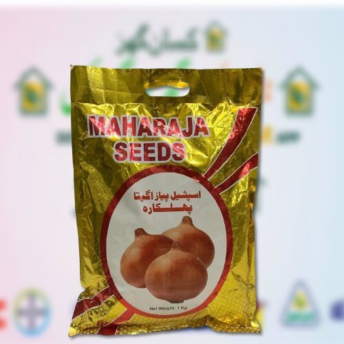 2nd Onion Seed Phulkara 1kg Payaz Beej Green Power Seeds Mahraja Seeds