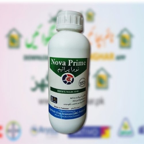 Nova Prime 1Liter Bio Fungicide Agritech Crop Best Organic Fungicide to prevent bad fungus in all crops and plants Nova prime price Agro Zia Consultant