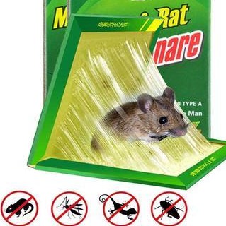 2nd Mouse Glue Traps Mouse Size Glue Traps Sticky Boards Mouse Catcher Mice Professional Strength Glue Insect Lizard Spider Cockroach Rodent Snake Strongly Rat Book Rat Killer