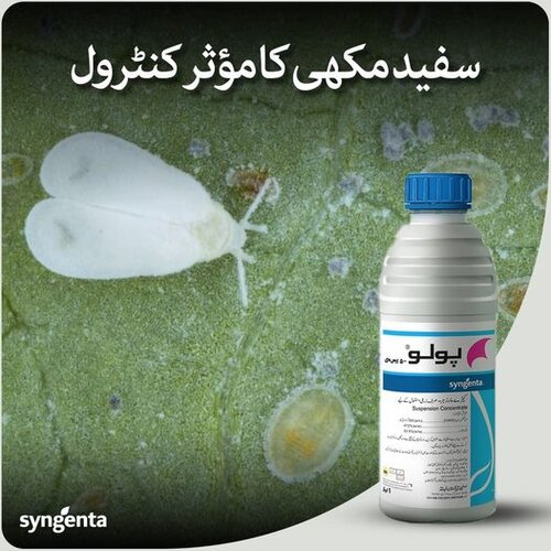 2nd Polo 1litre Diafentiuron Syngenta Pakistan Limited For Whiteflies And Aphids