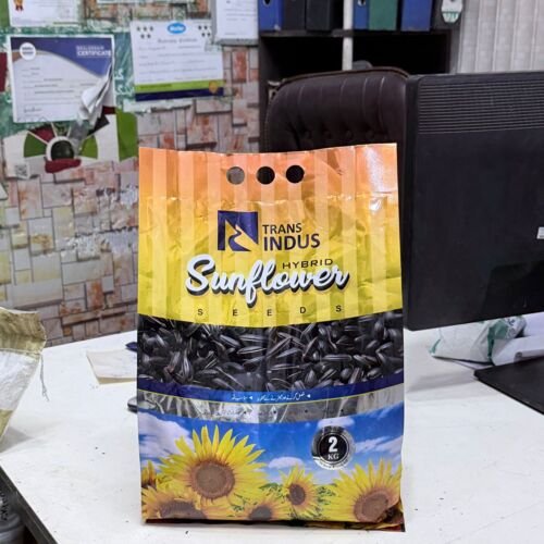 2nd Narc Sun 2kg Sunflower Seed Hybrid Seed Oil Crop High quality hybrid sunflower seed Narc  Indus 