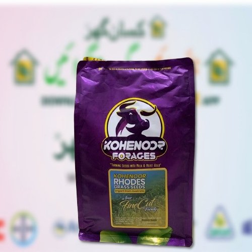 2nd Rhodes Grass 1kg Kohenoor Forages Koh e noor Rhode Grass Seeds Perfect For Fodder Dry Chara Fine Cut Variety Noorani Seeds Dairy Seeds