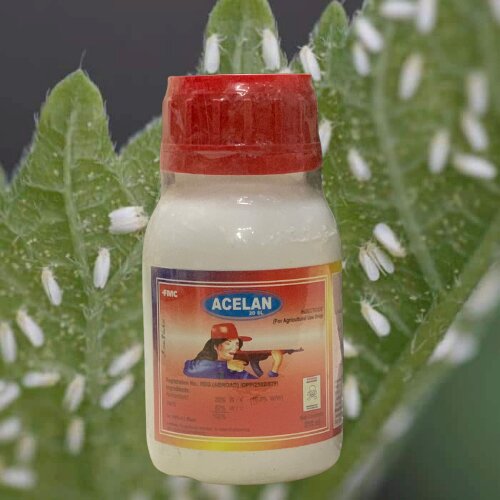 2nd Acelan 20sl Acetamiprid 250ml Fmc Insecticide ( White Fly )