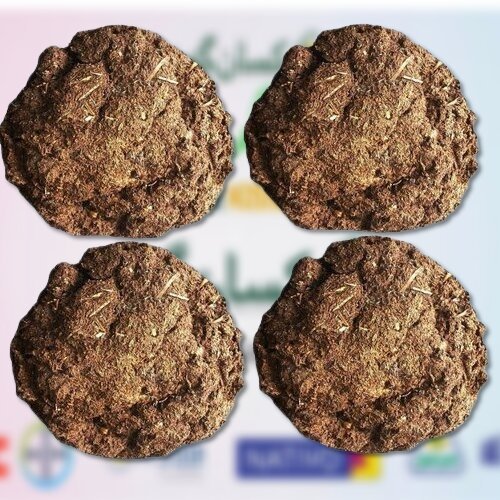 Cow Dung Cake pack of 12PC Pure Organic Cow Dung Cake for kitchen gardening, plants, lawns and grasses Best Shit of Cow for plant growth Dry Cow Potty