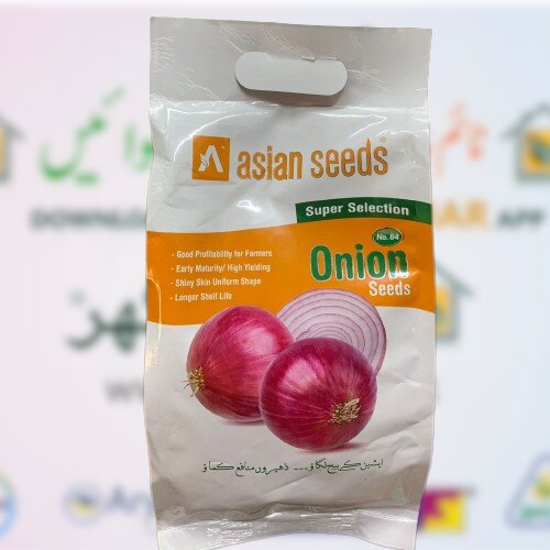 Onion Seed Np 84 500gm Payaz Beej Ntl Seeds Company Asian Seeds Nasar Puri Piyaz
