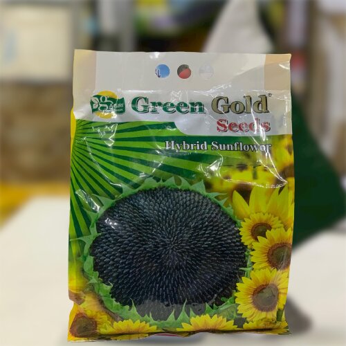 Sunflower 2kg Hybrid Seed F1 Green Gold S-278 Sun Flower