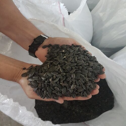 2nd Natural Black Type Sunflower Seed, For Oil/cooking, Packaging Pp Bag 1kg
