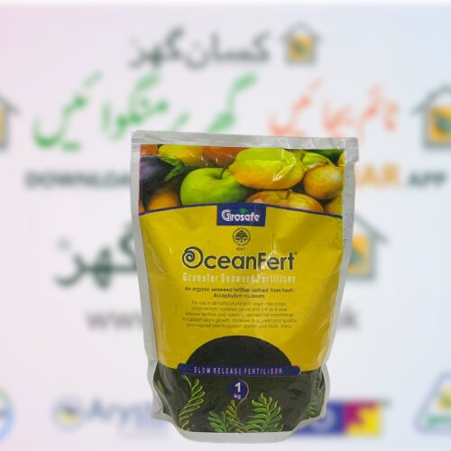 2nd Oceanfert 1kg Granular Seaweed Fertiliser Made In New Zealand Organic Seaweed For Organic Gardening Ocean Fert