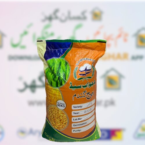 Akbar 19 Wheat 50kg La-jawab Seed G A Seed Distributor Alnoor Agro