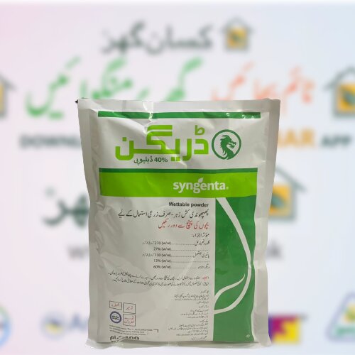 Dragon 40wp 400gm Fungicide 270g/kg Chlorothalonil 130g/kg Pyrimenthanil Wp (wetable Powder) In Water Soluble Packs Syngenta Pakistan Naya Sawera